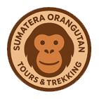 Sumatra Orang Utan Tour & Trekking