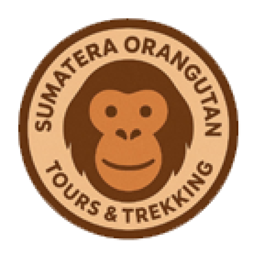 Sumatra Orang Utan Tour & Trekking